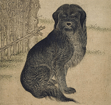 삽살이 민화 사진